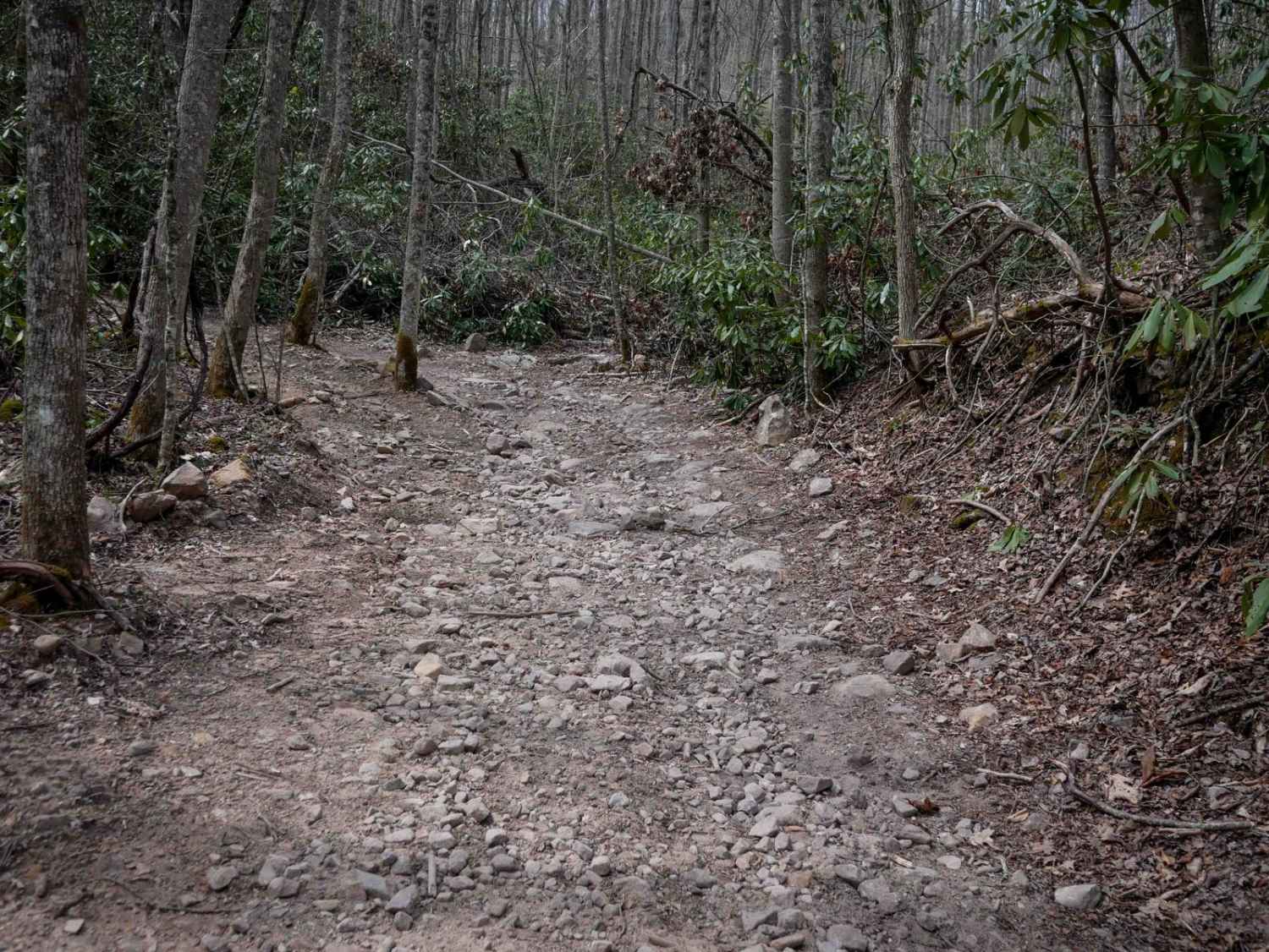 26 Tennessee GPS Trail Map - Cb2d13c4 3e65 449a 94c3 0825dc5a36de