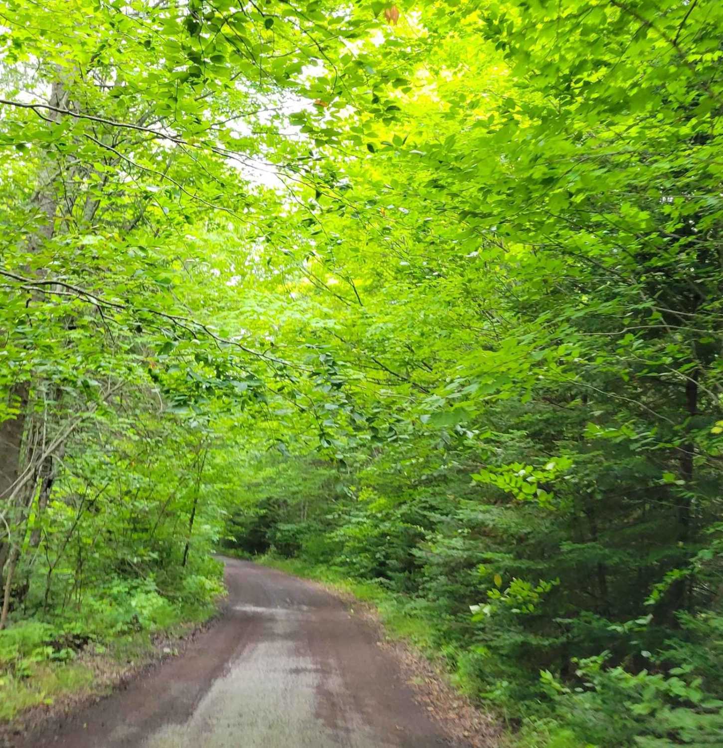 Keweenaw State Trail Segment 1
