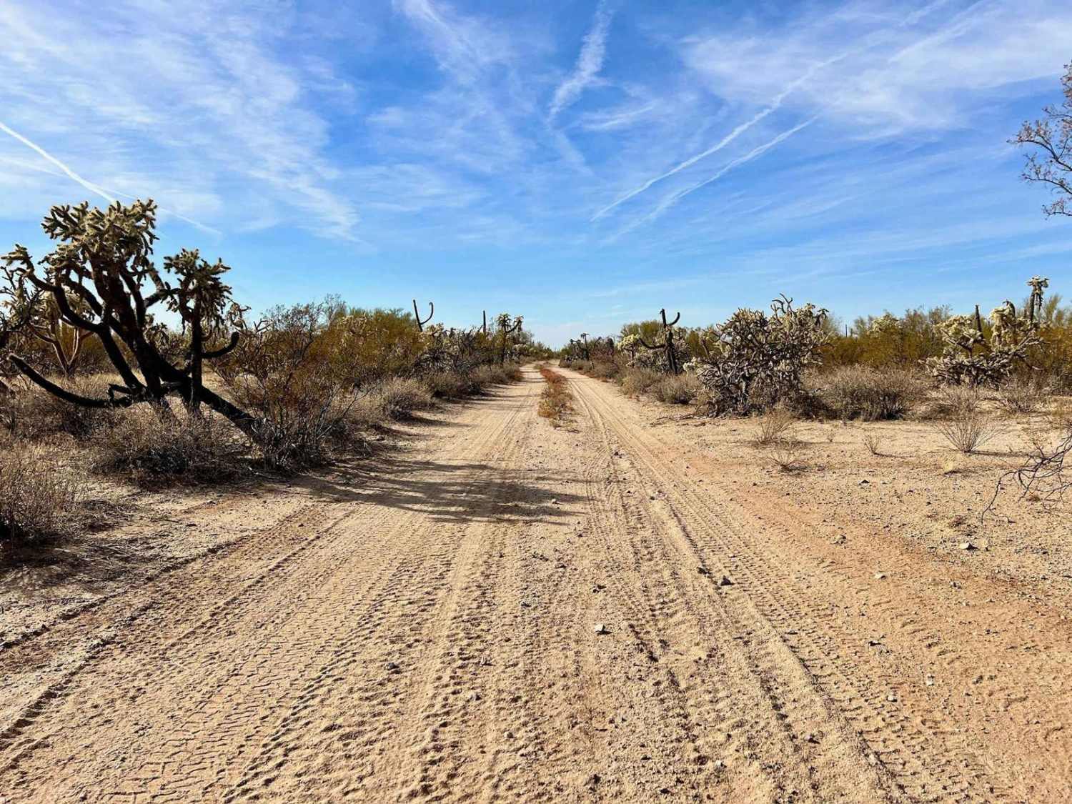 M0800 Freeman Pipeline Trail