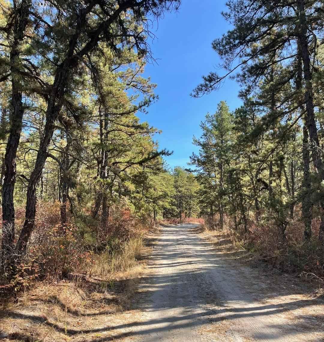 Success Road