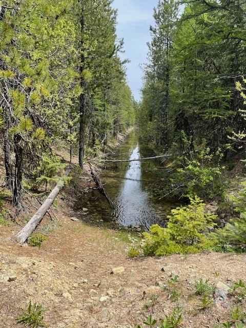 Divide Cutoff Road