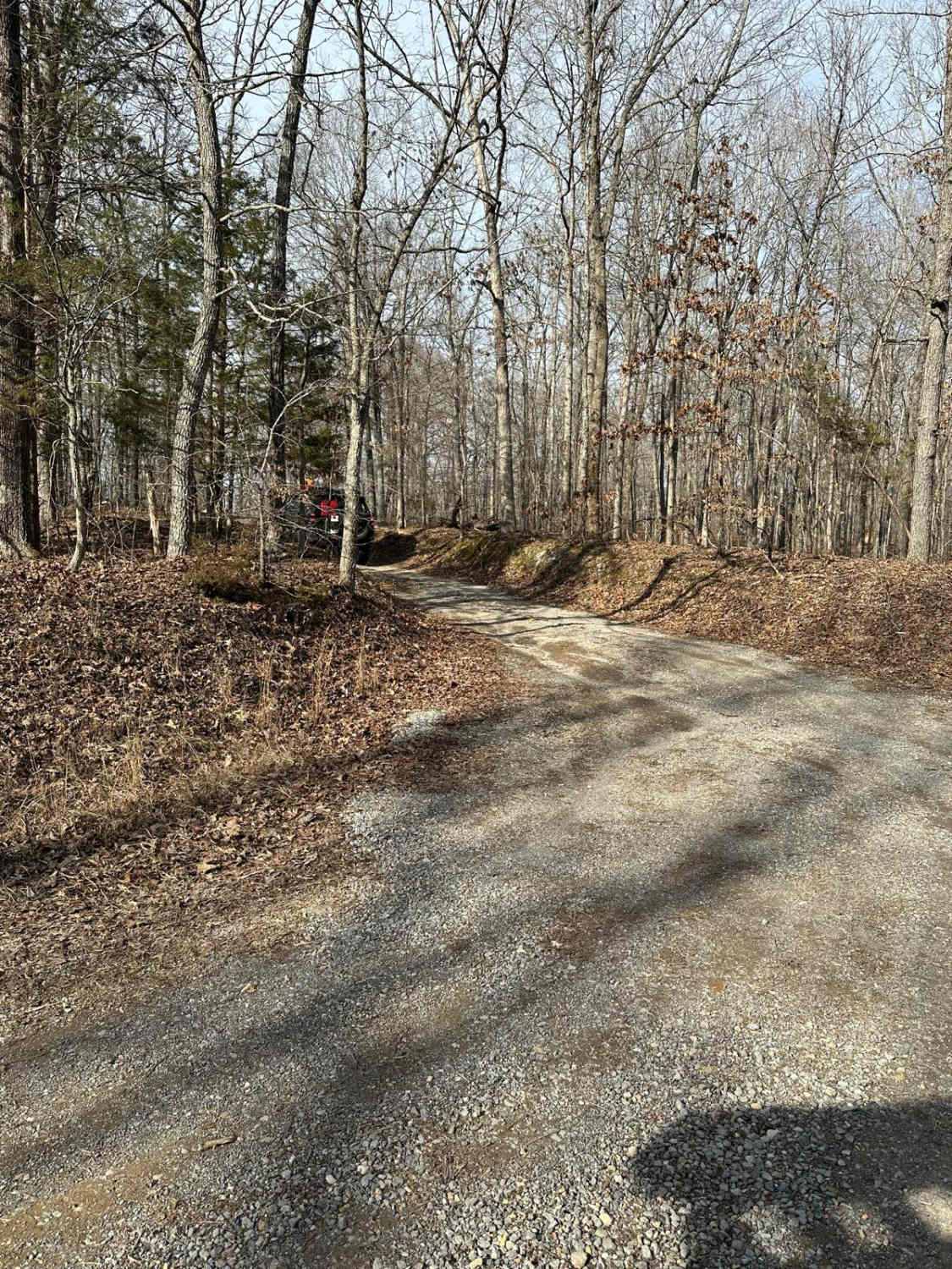 Stephens Chapel Road - FSR 415