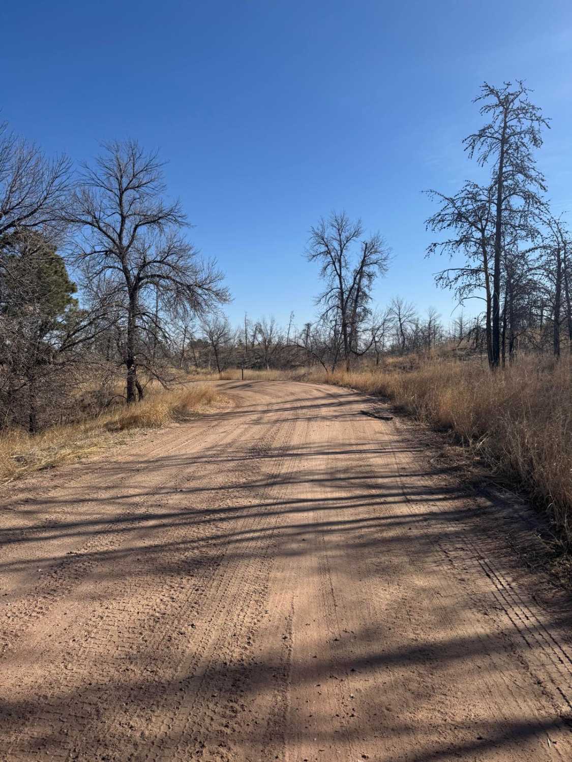 Forest Road 203 - Circle