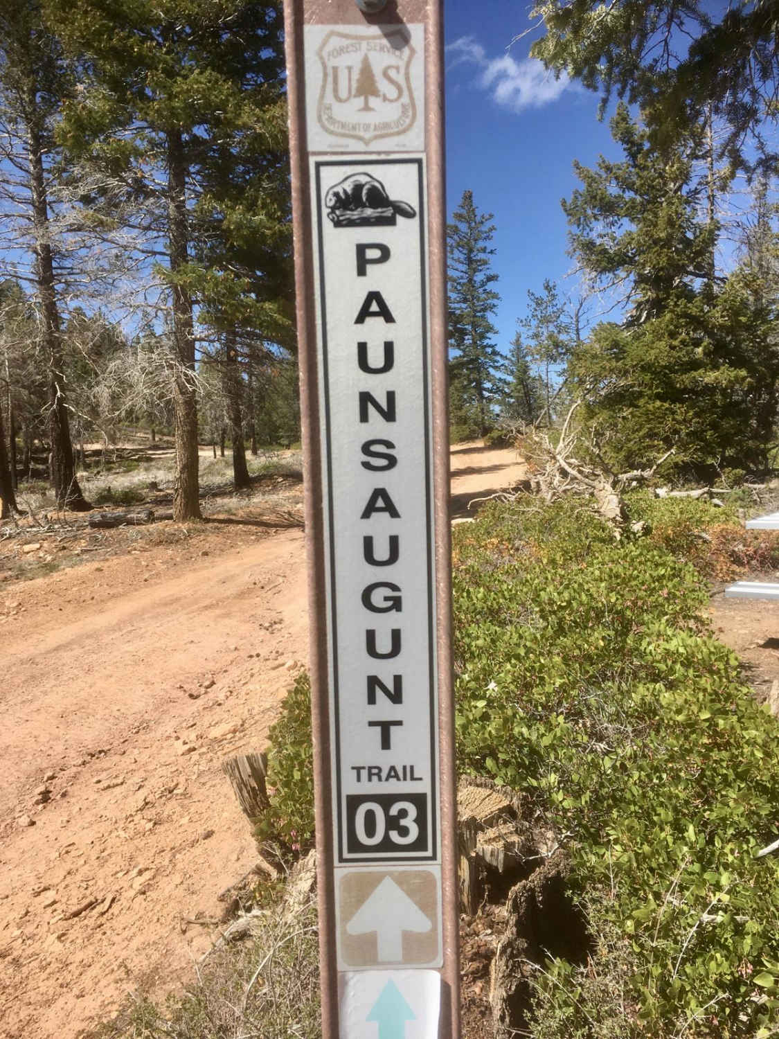 Paunsaugunt ATV Trail North