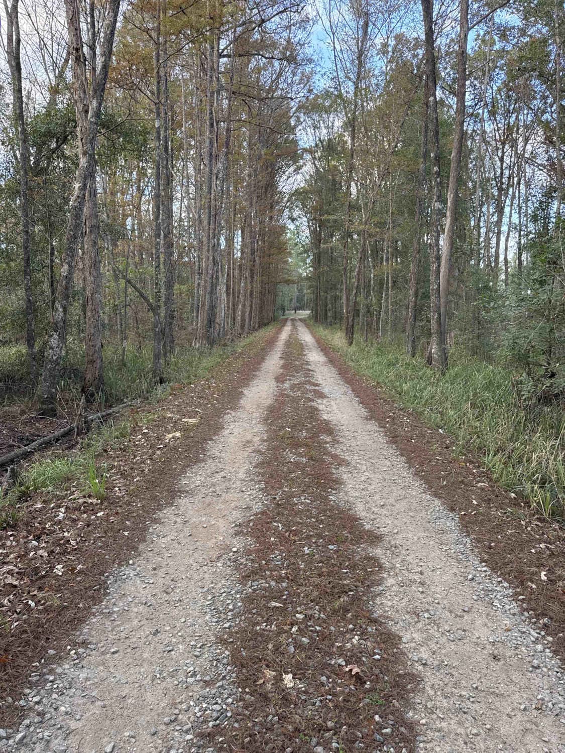Mud Creek Road