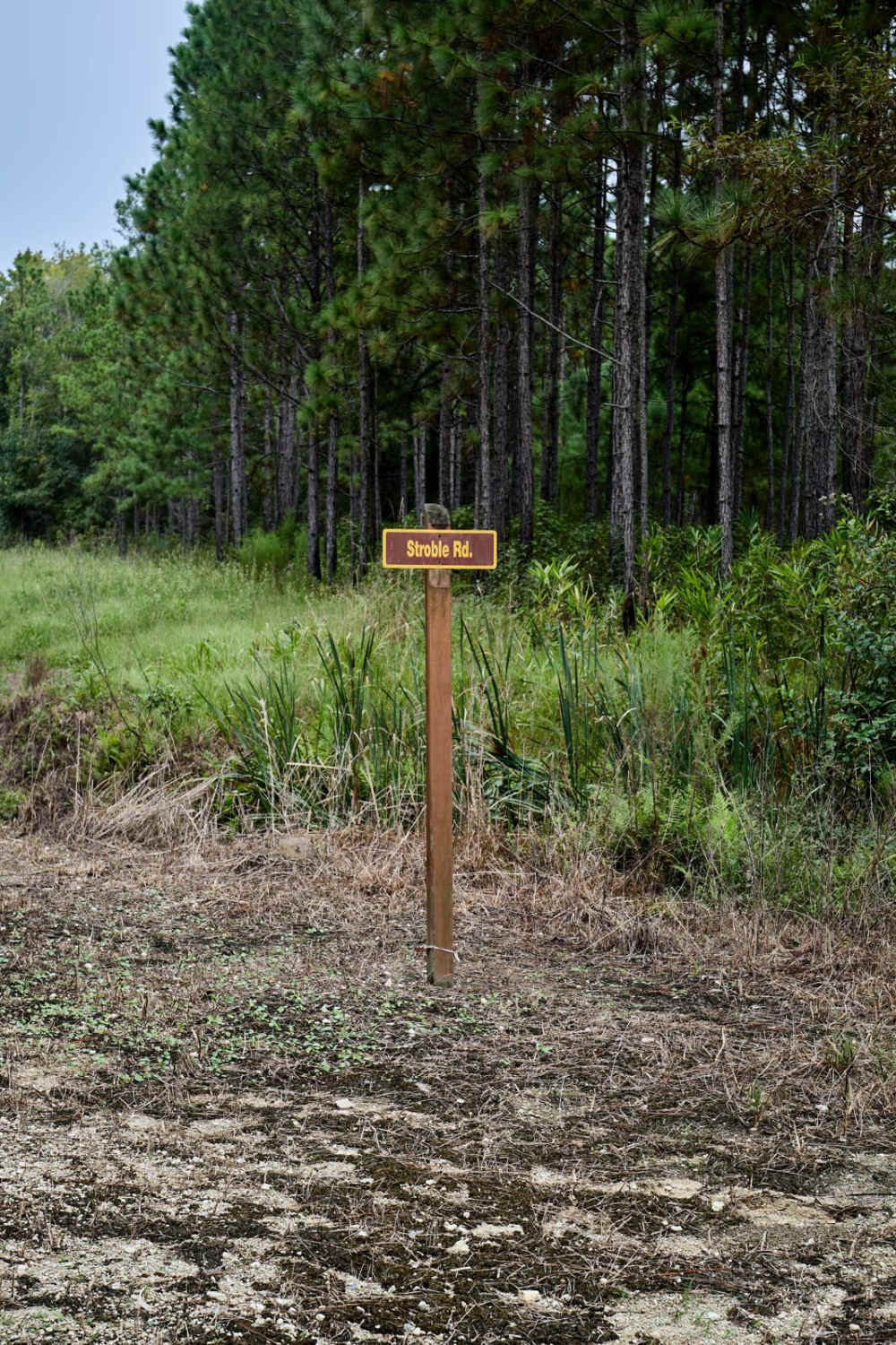 Bonneau Ferry WMA - Wetland Access