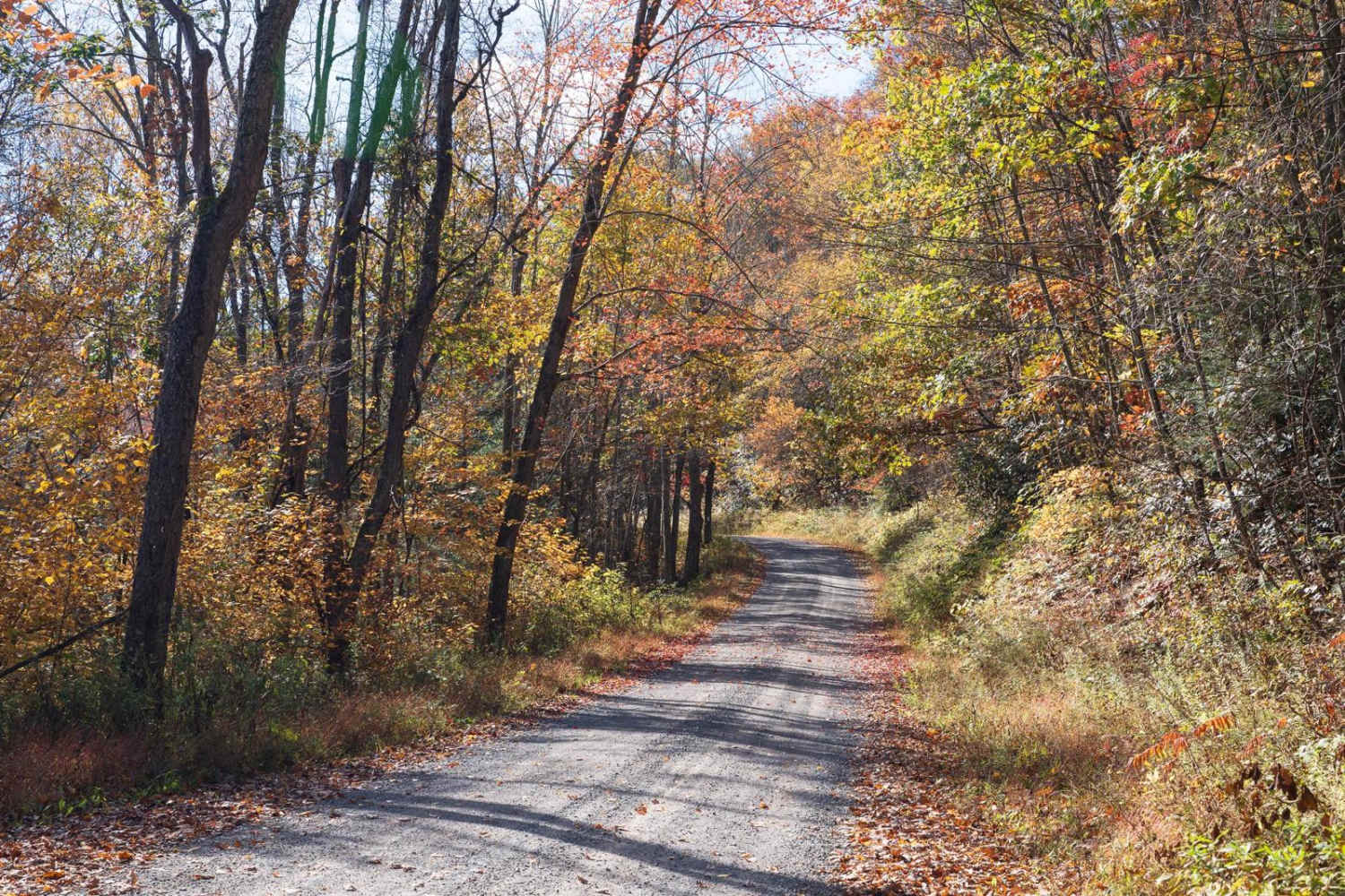 Six Mile Run Road