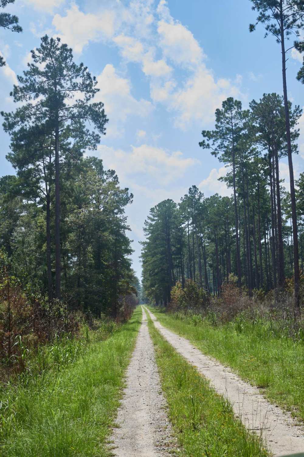 Horseshoe Loop