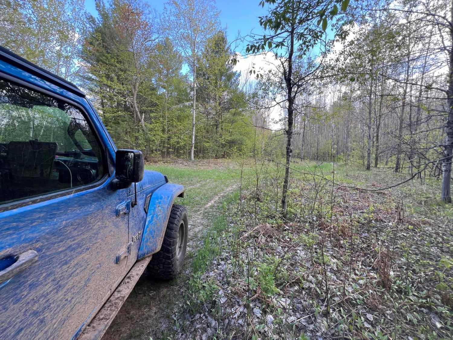 Bewilder Trail
