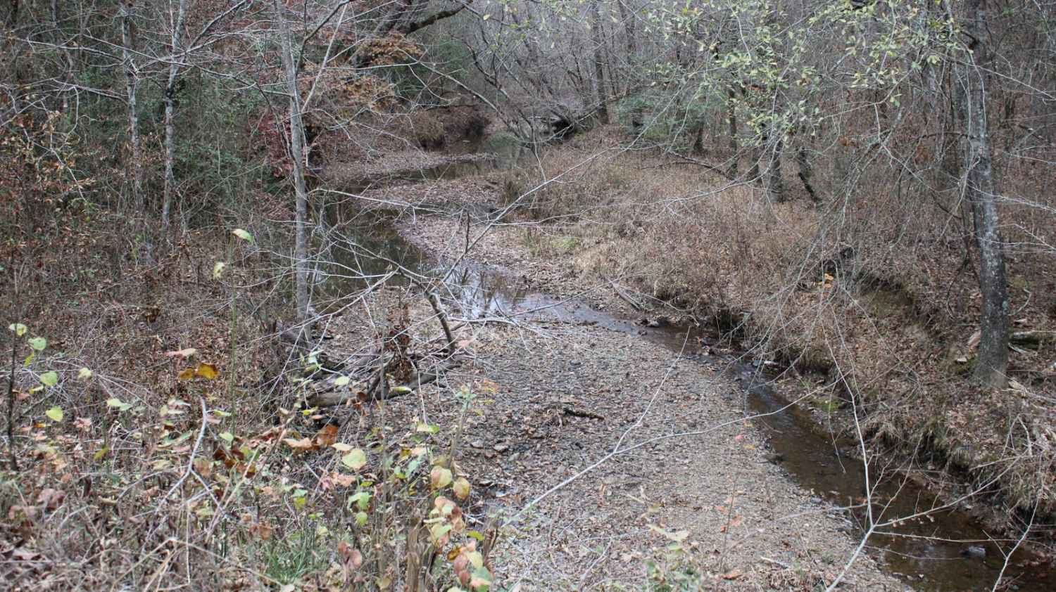 County Road 55