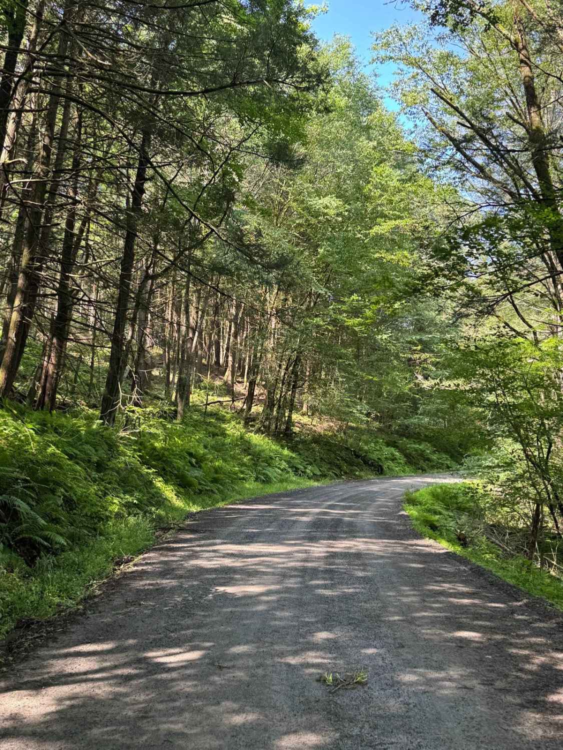 Cooley Creek Road
