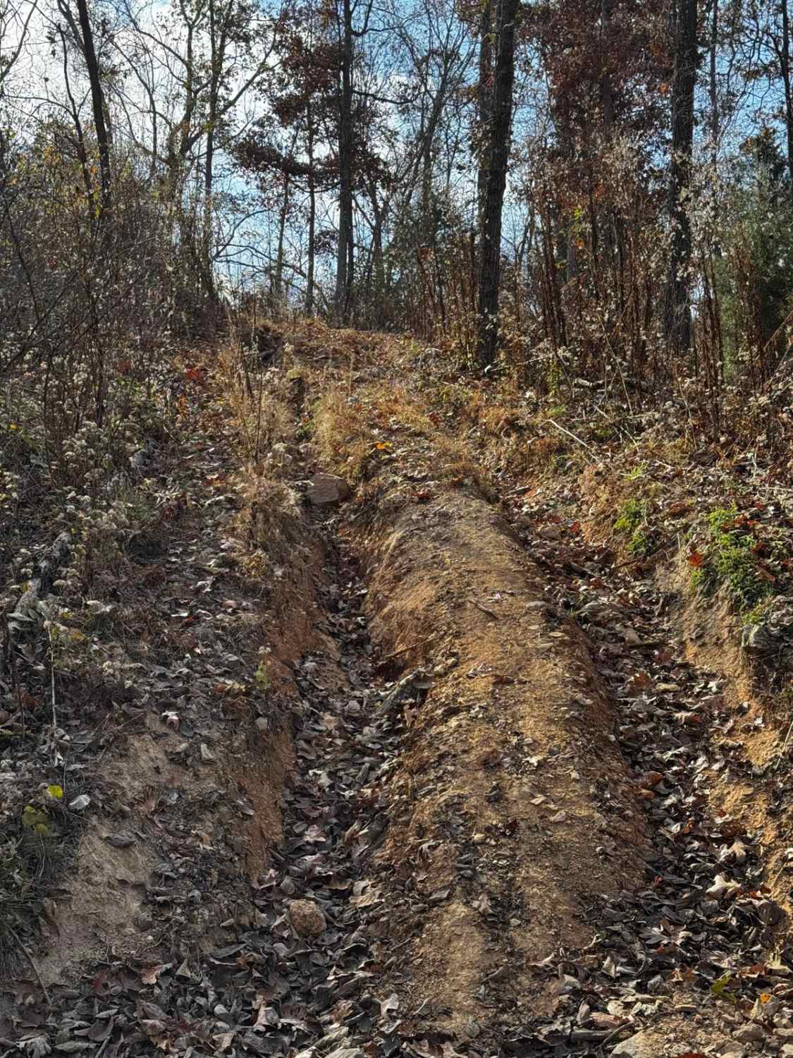 Skid Mark 