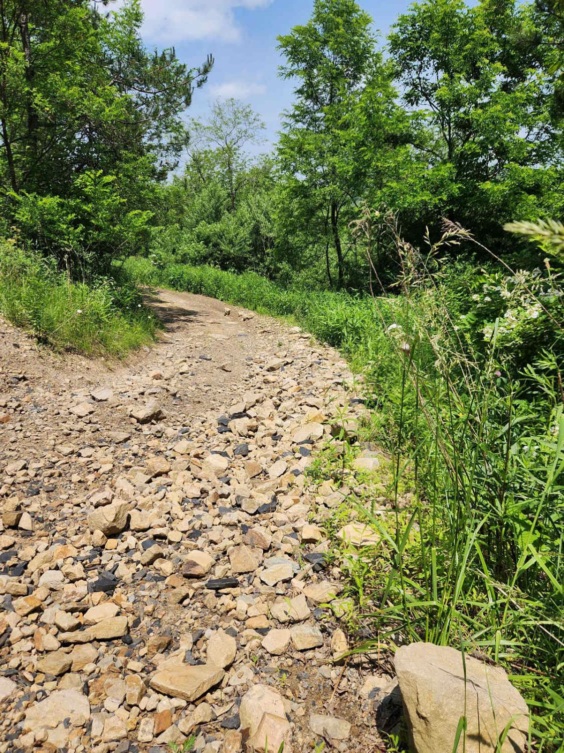 Trail 13A - Rock Run Recreation Area
