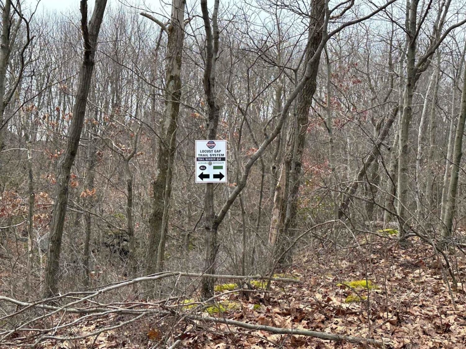 Locust Gap 64