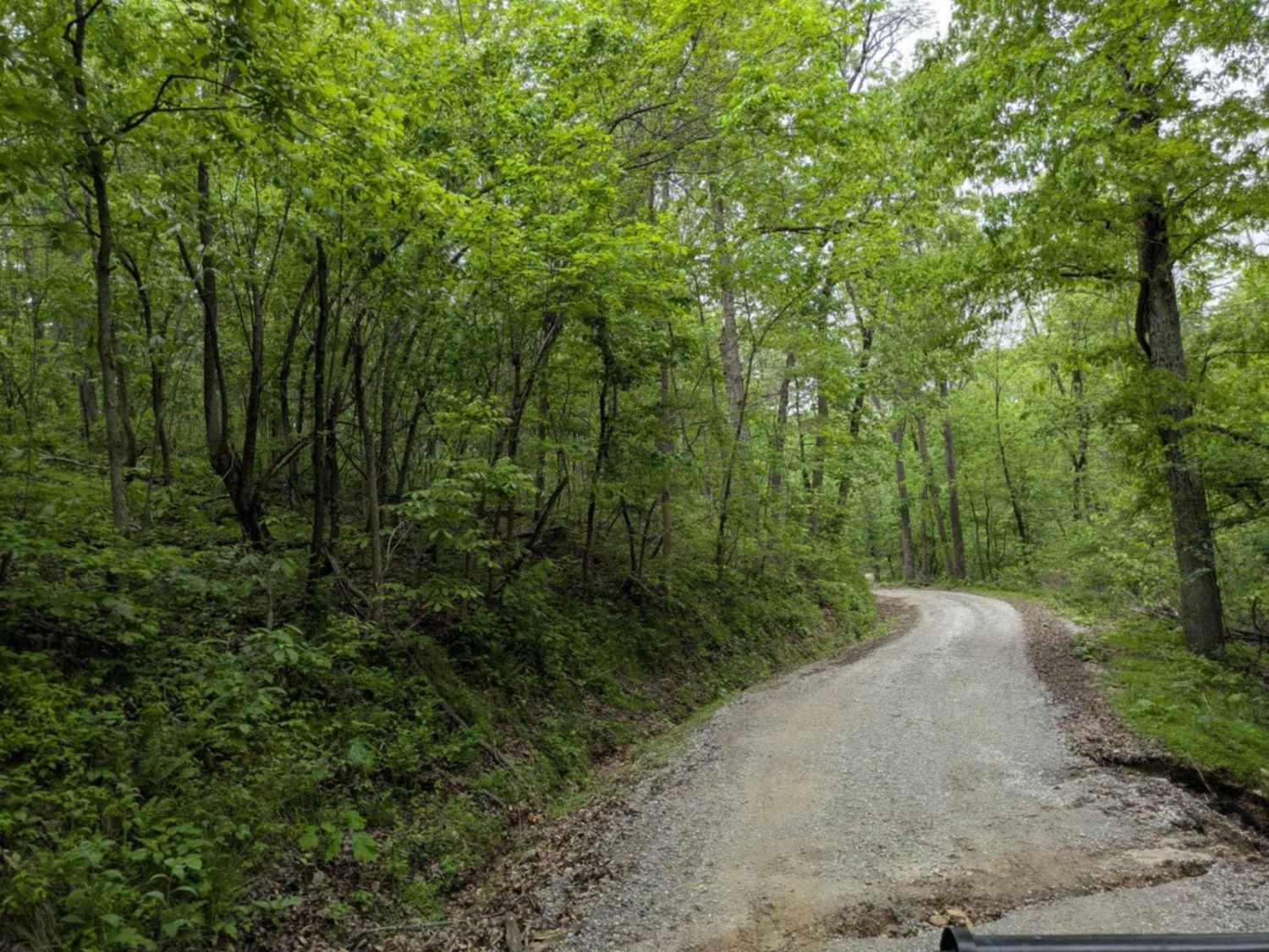 Gunner Pool Road