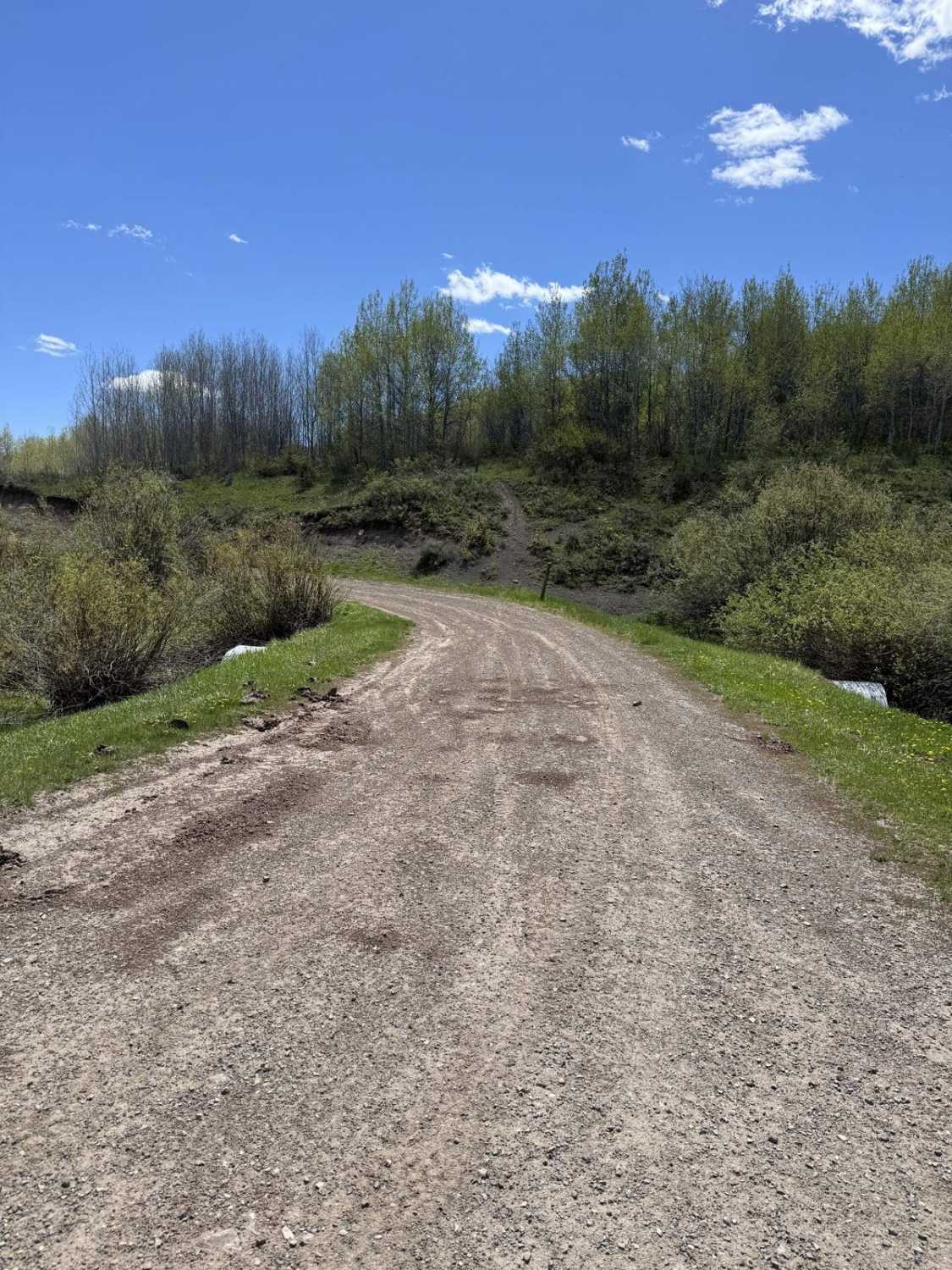 June Creek Trail
