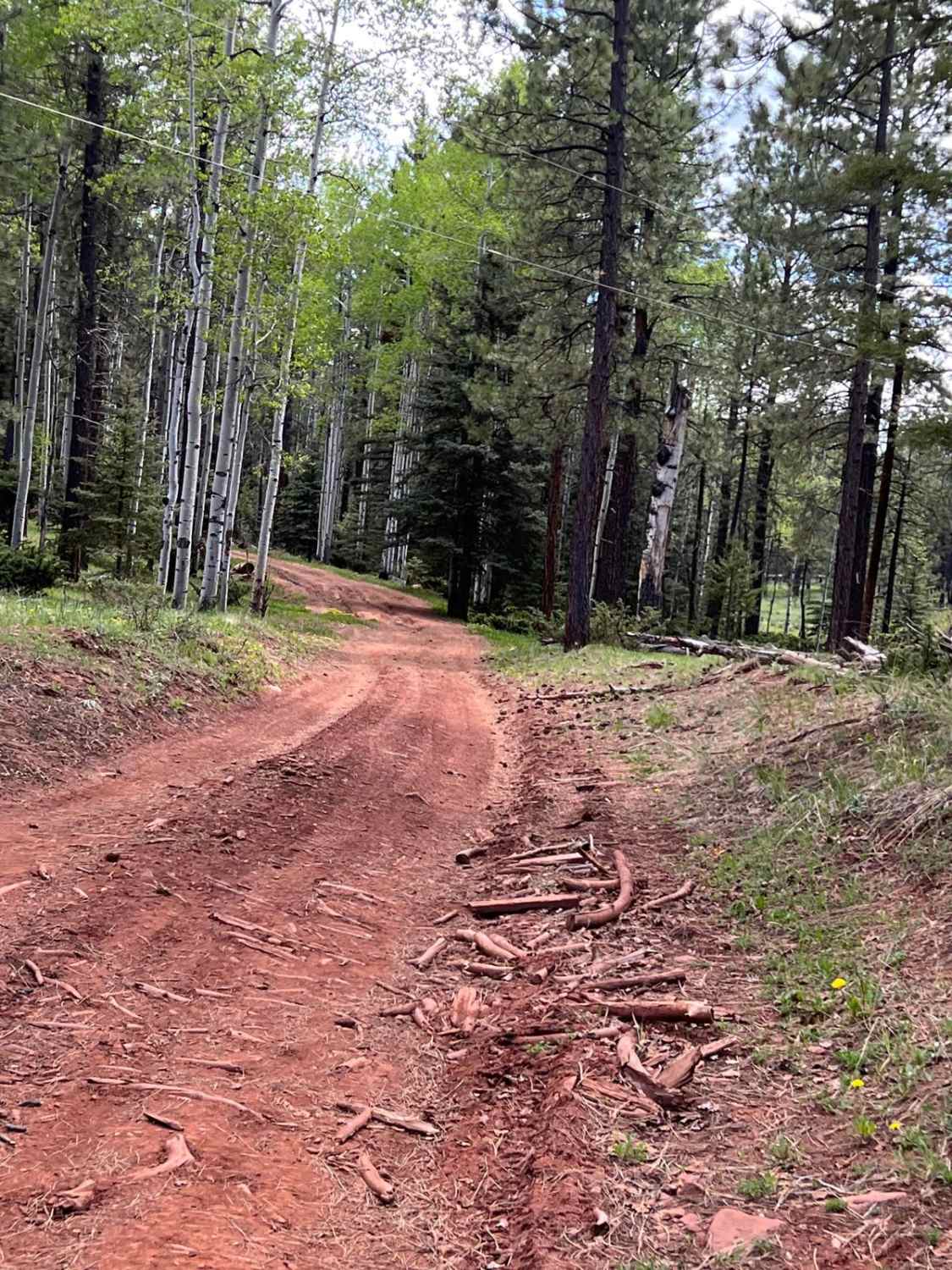 FR 315B Elk Meadows