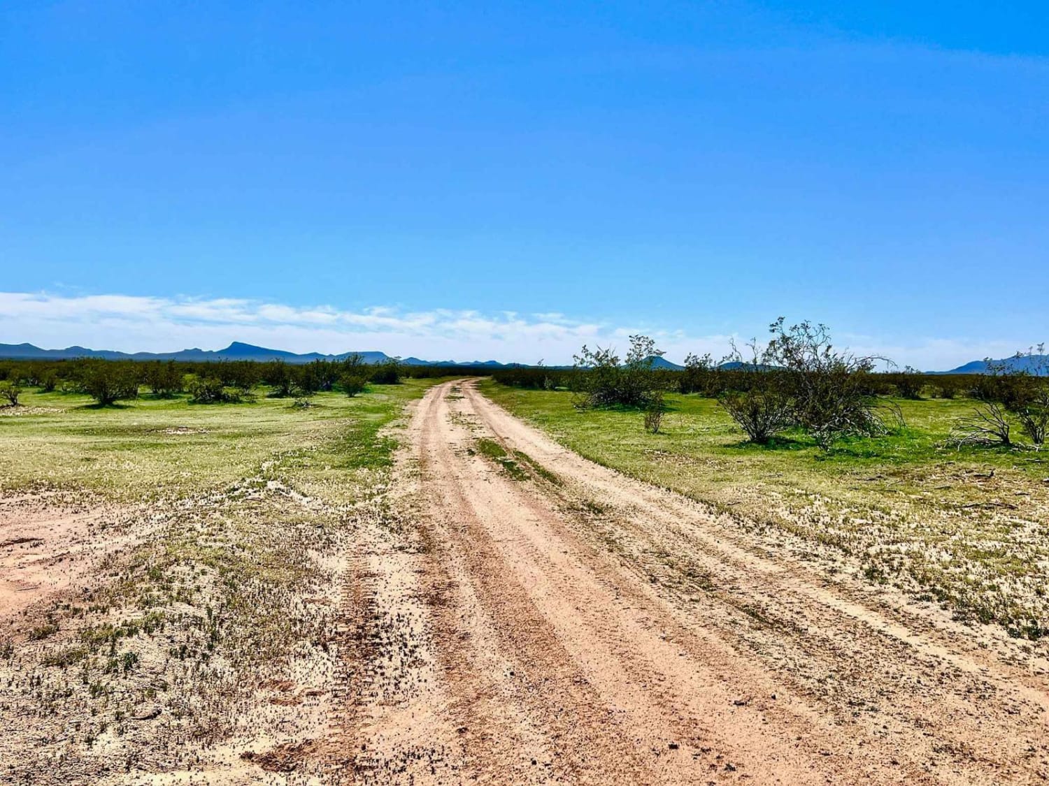 Cattle Tank to Washout 1