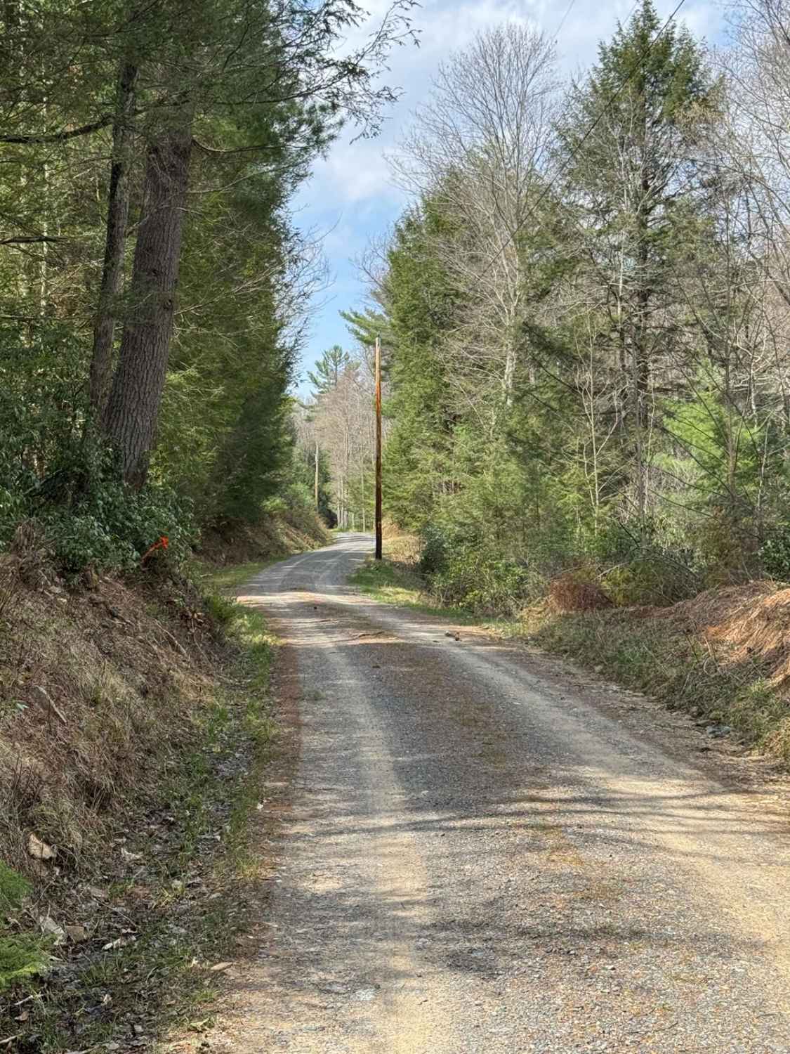 Trout Run Road North