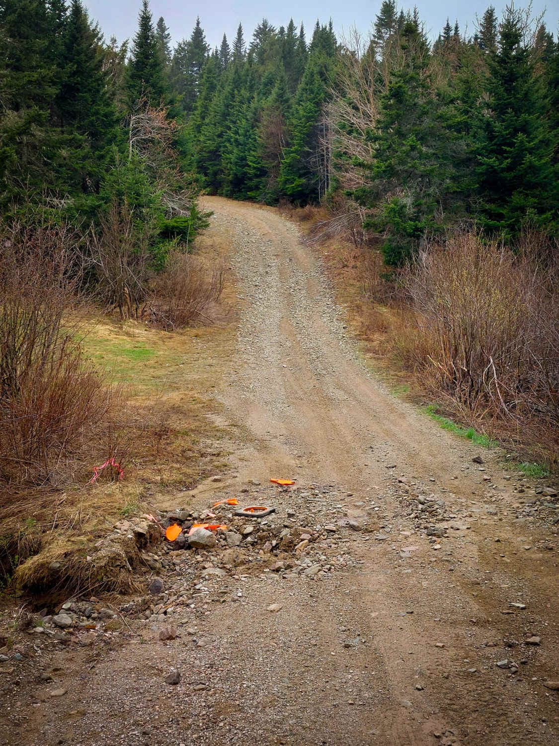 Crooked Creek Trail