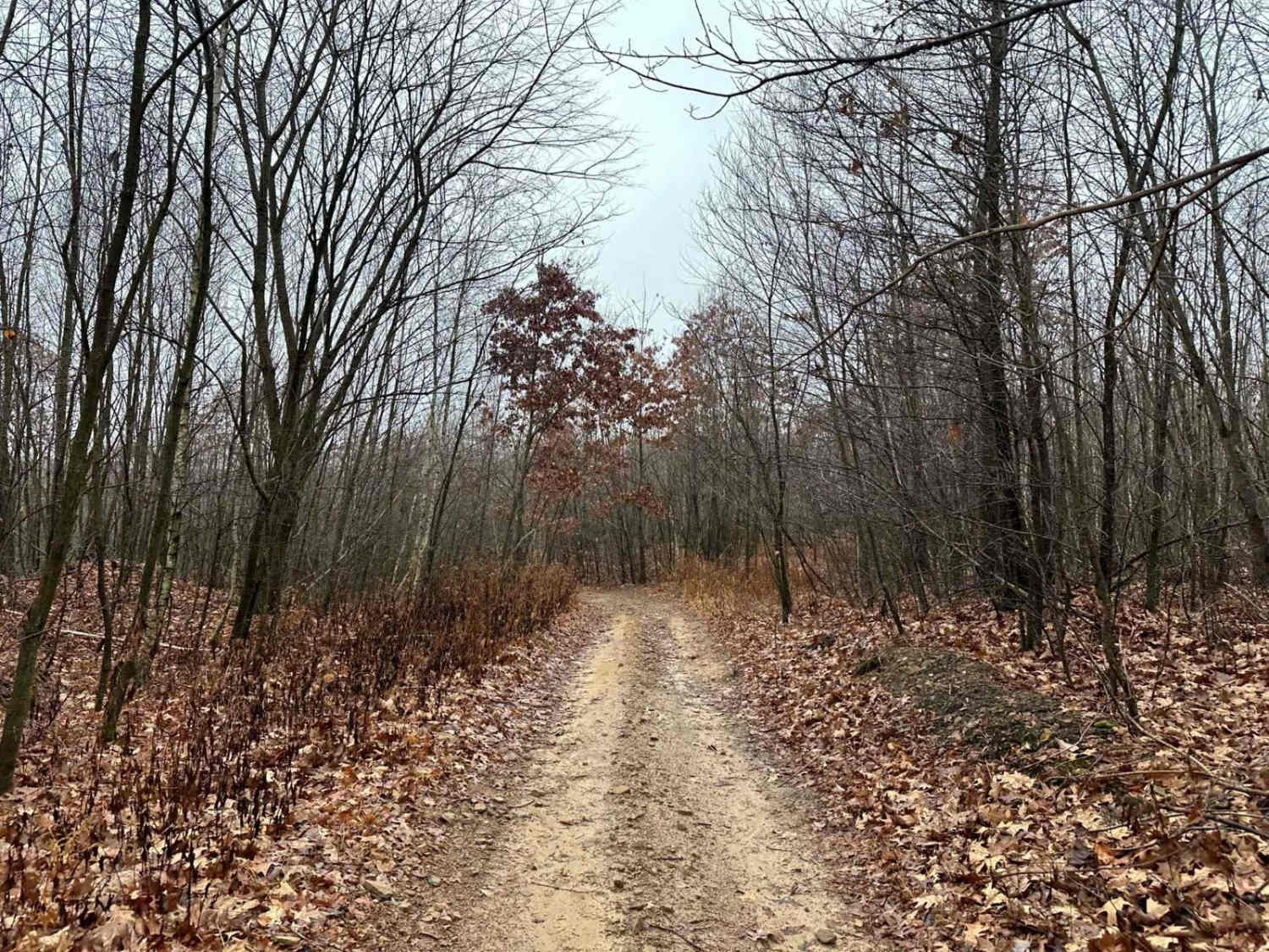 ATV Trail 74