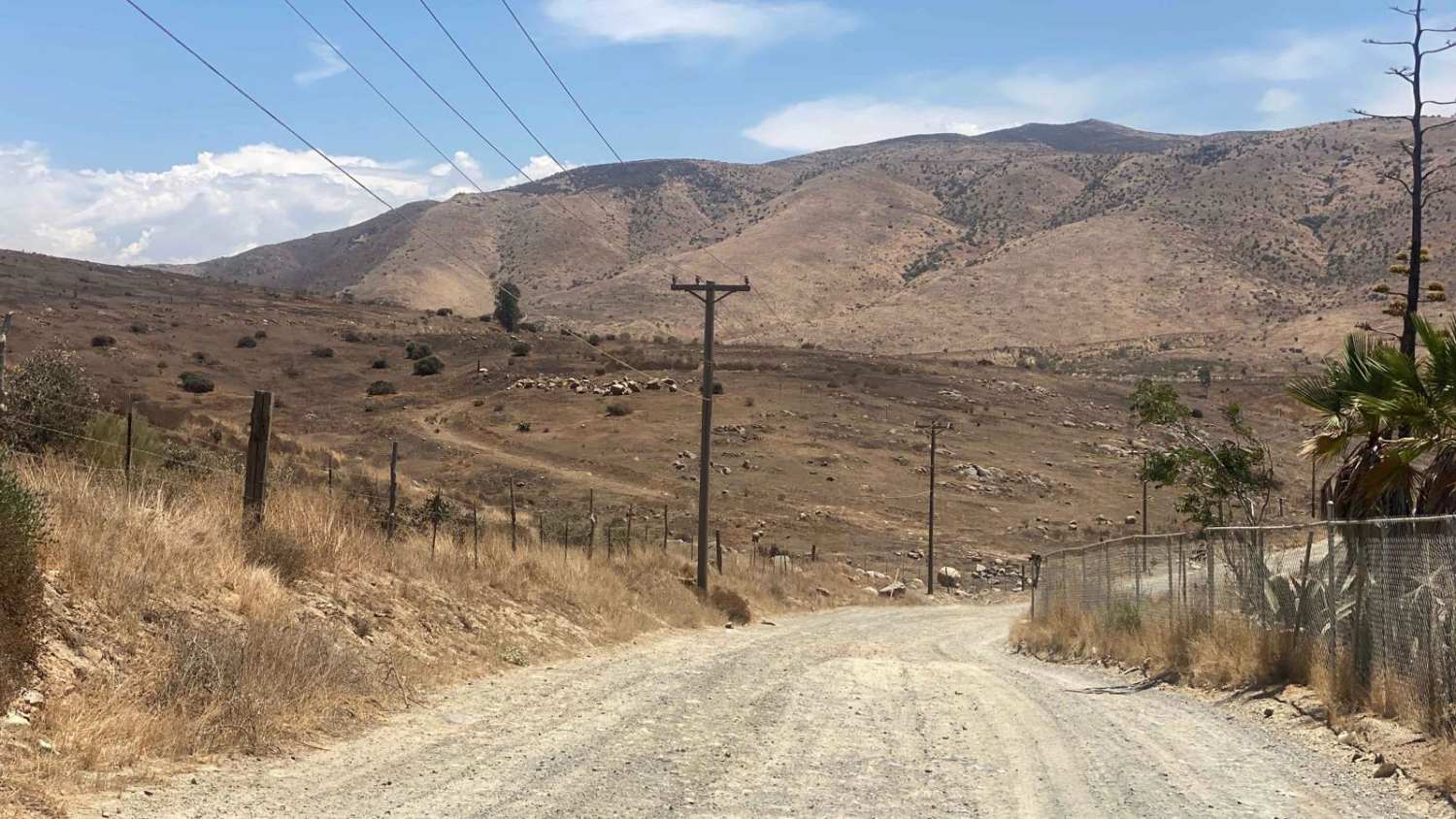 Presa El Corizzo