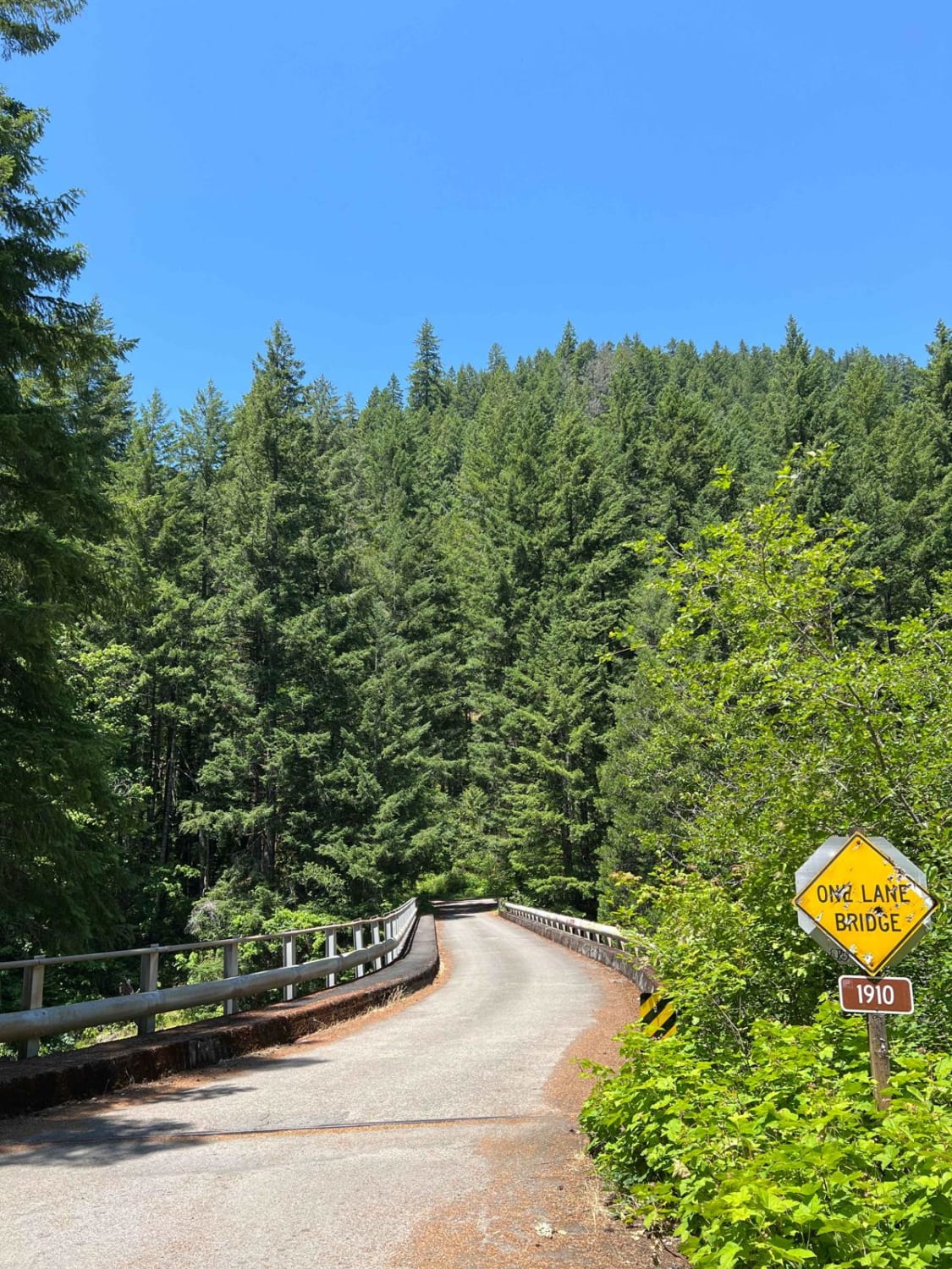 Aufderheide to Windy Pass