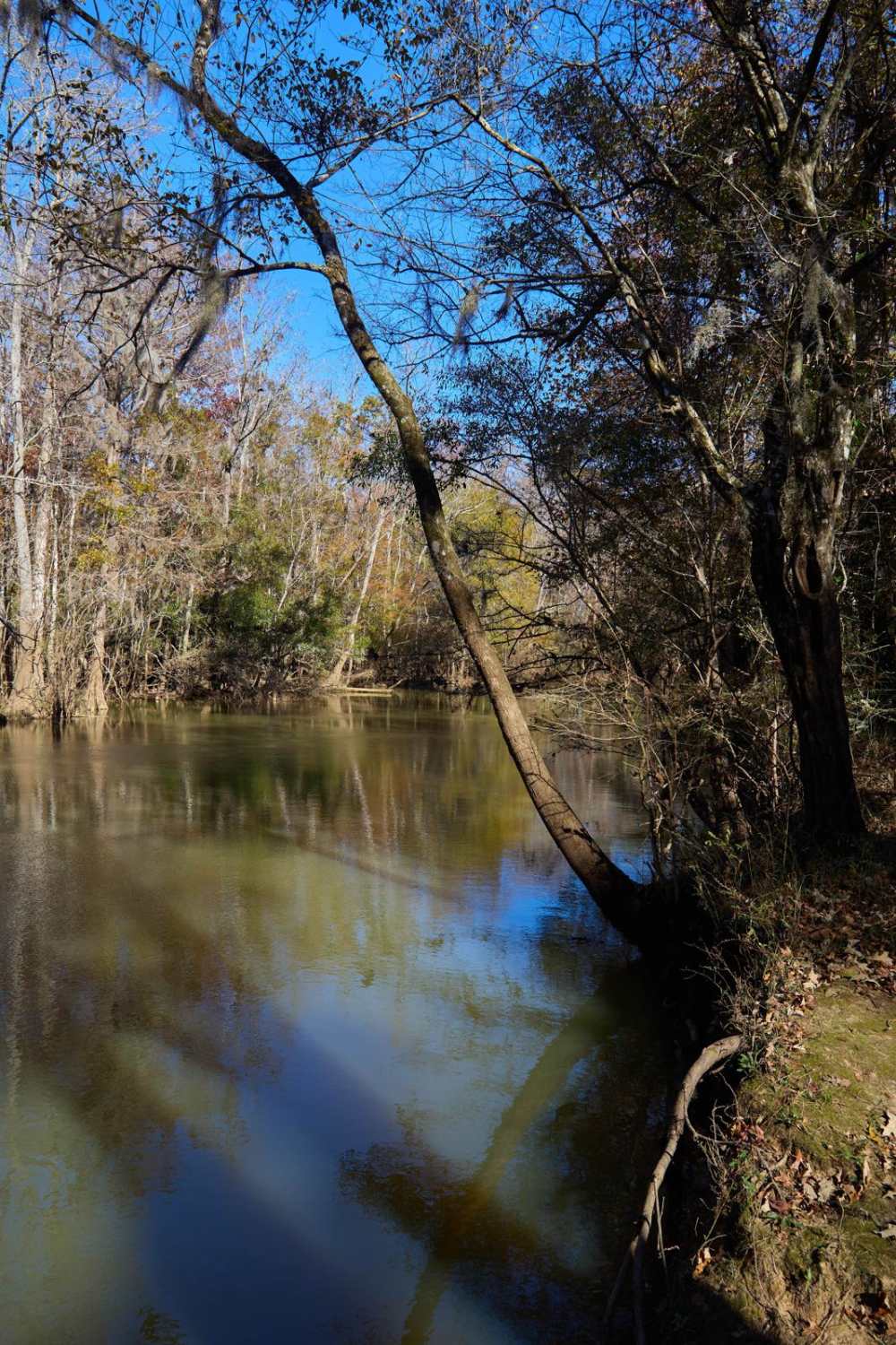 Chicken Creek Access - FSR 204B