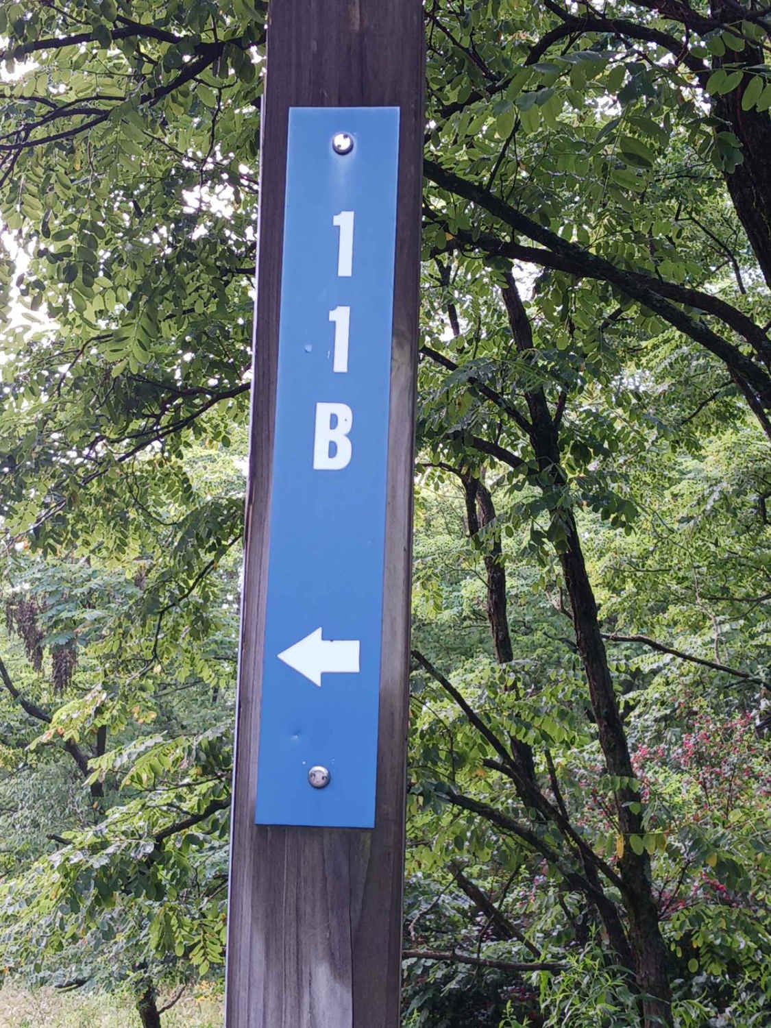 Trail 11B - Rock Run Recreation Area