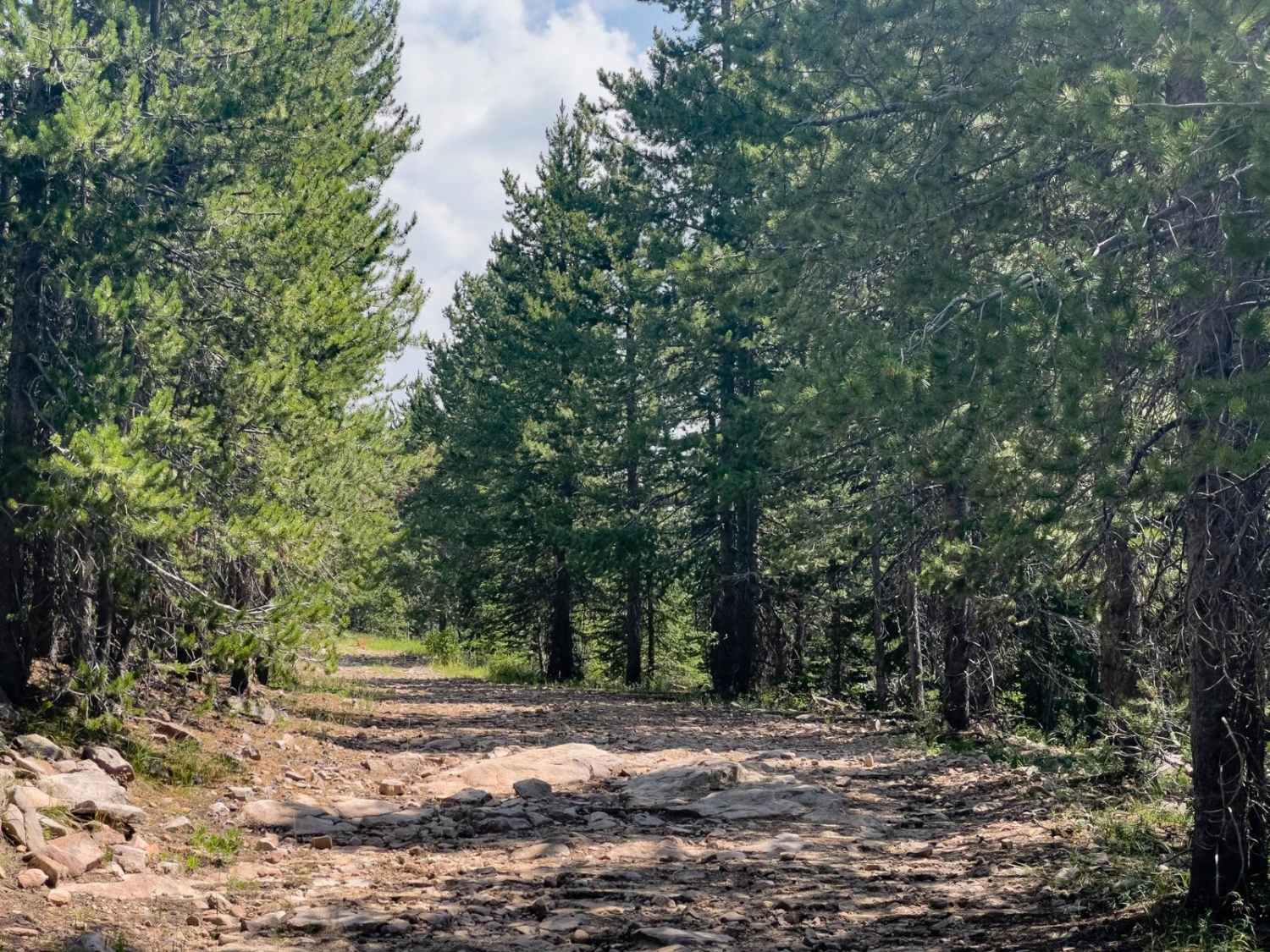 Pit & Page Hill (FR 80170)