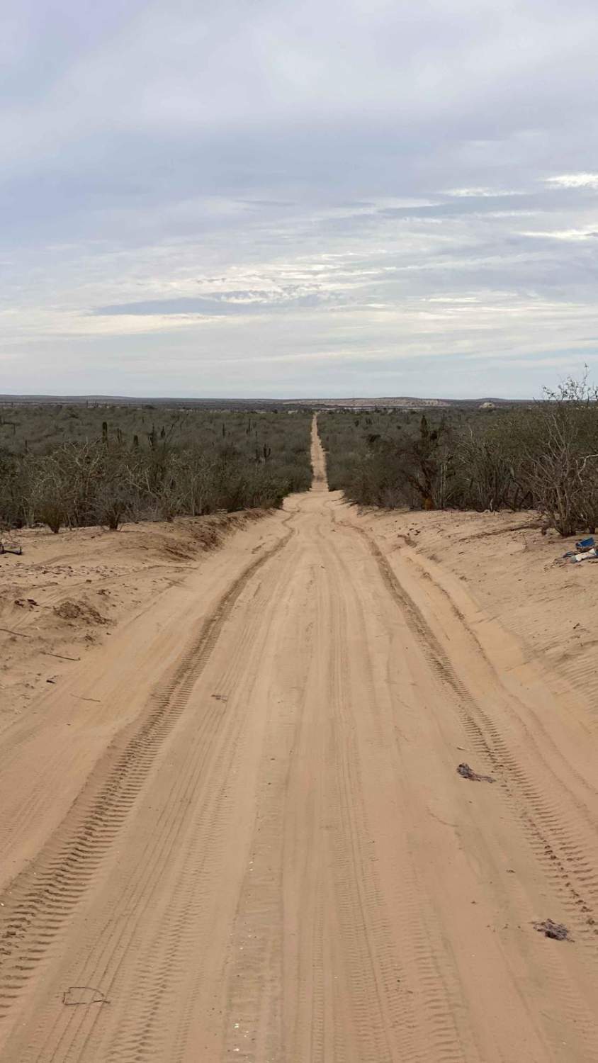 El Faro Connection