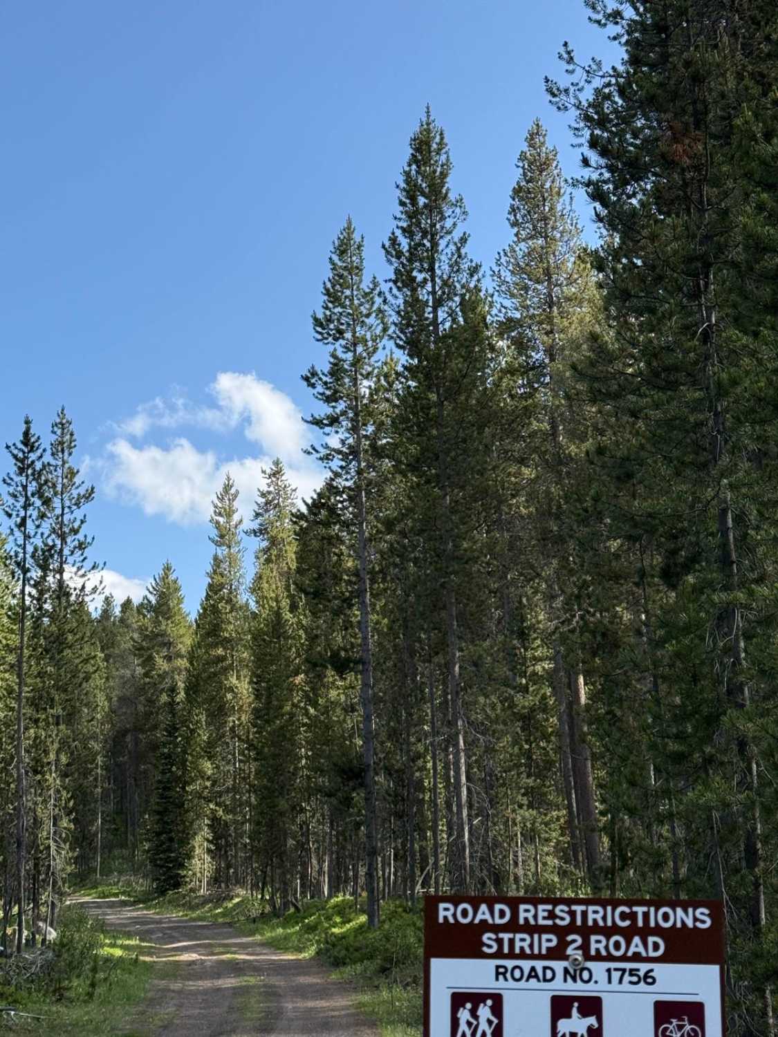 Frog Pond Road Montana GPS Trail - Ce2ccb65 34e7 4f8b 9978 7e6b151e9e9c