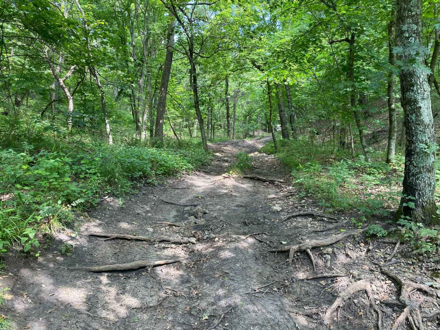 Carnage Canyon