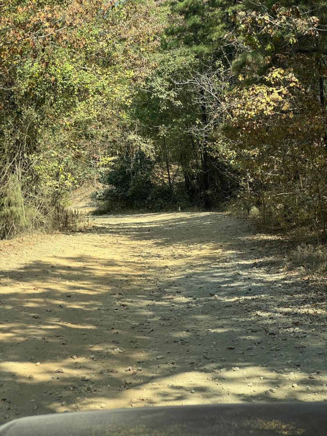 AR Highway 1
