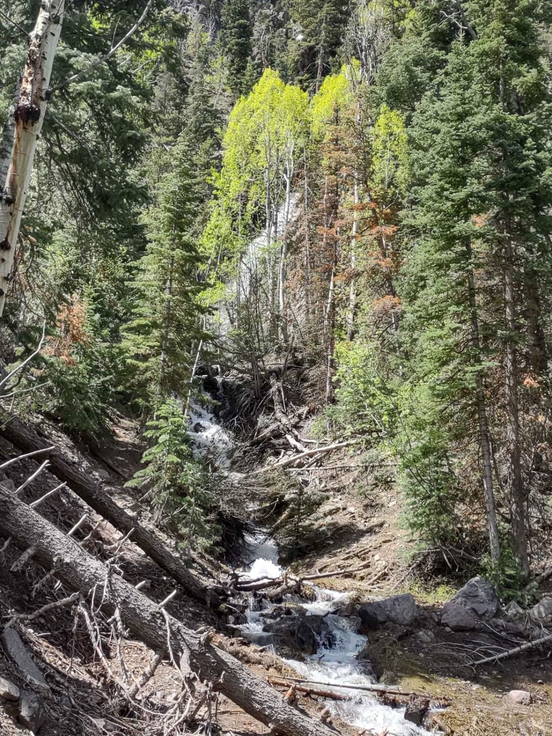 Cascade Creek Falls