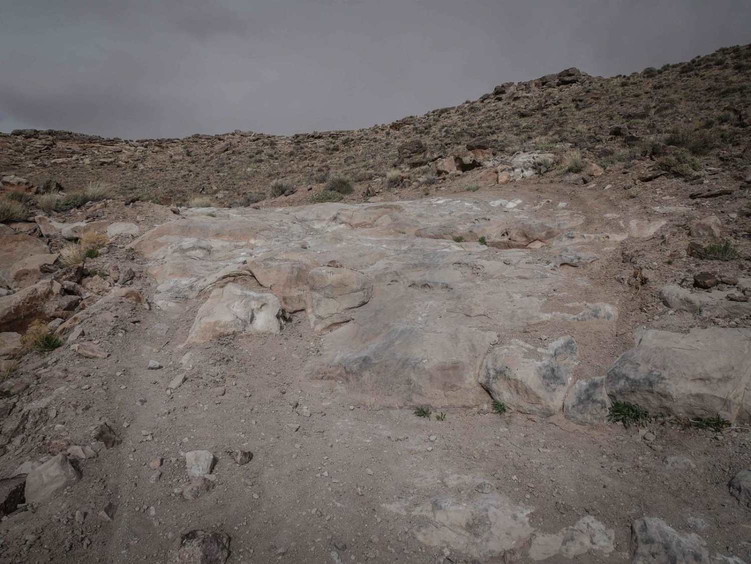 Guys Trail (North) 