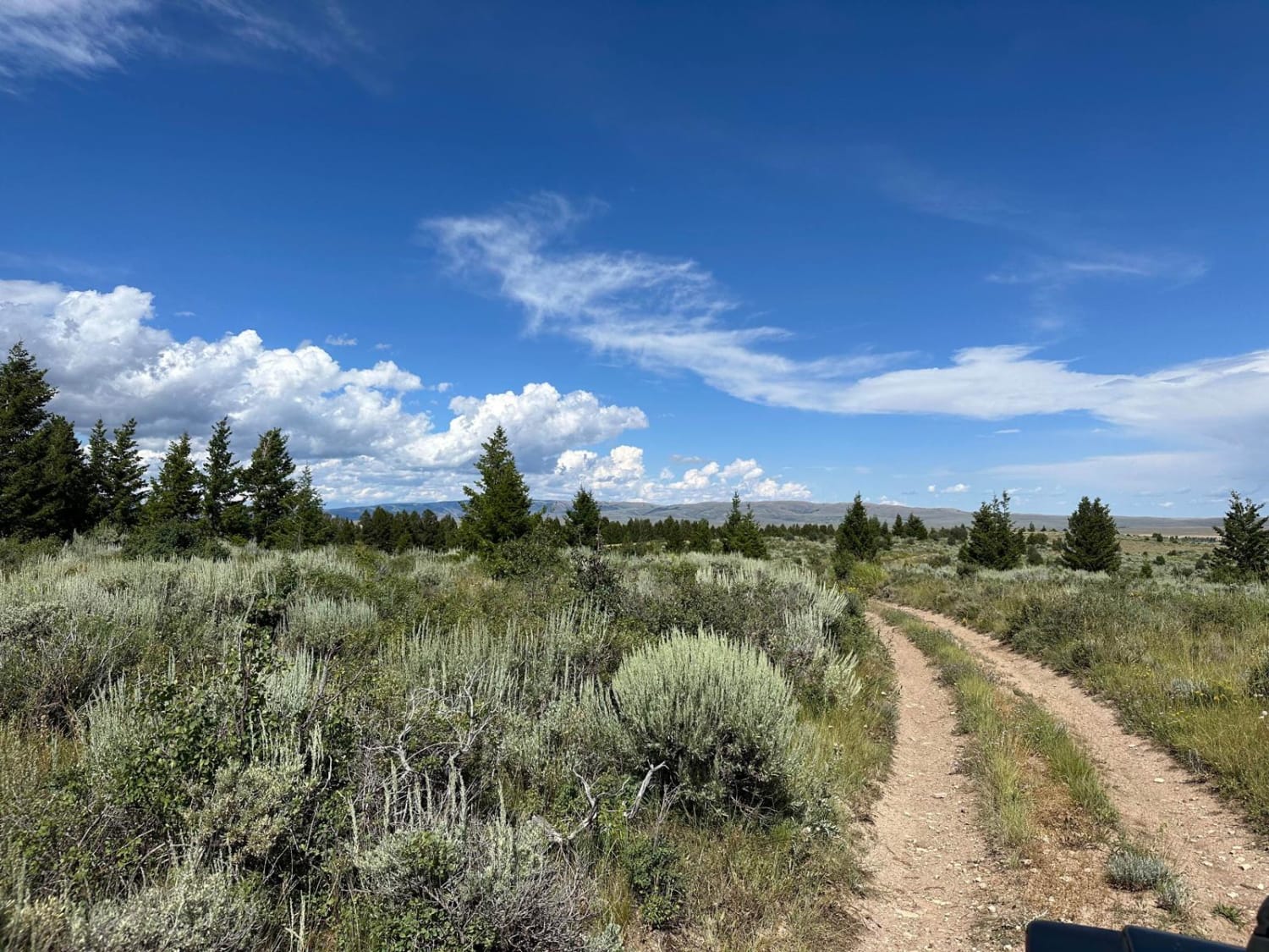 Fossil Butte BLM Trail