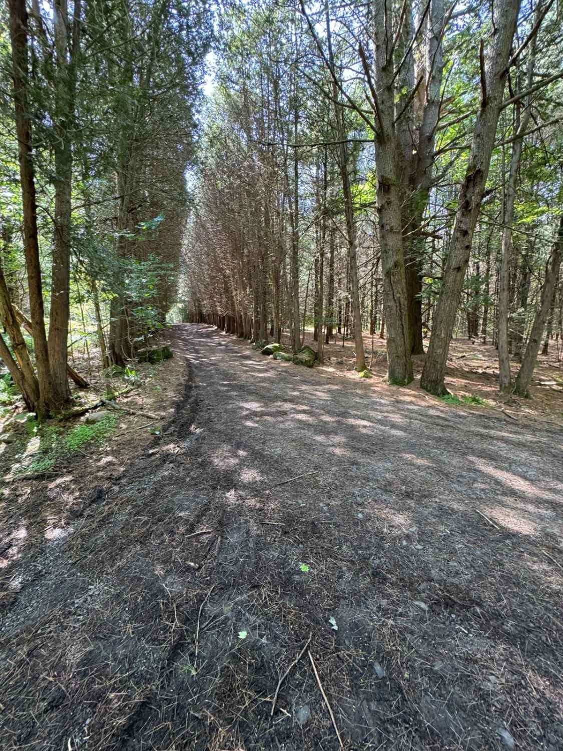 Eastern Boundary Trail