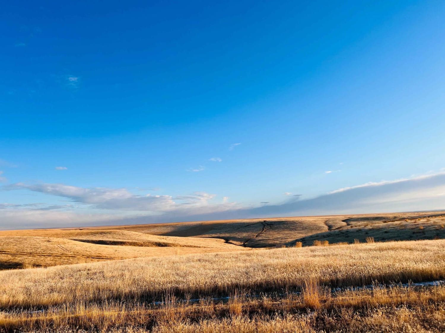 Idaho Centennial Trail 7