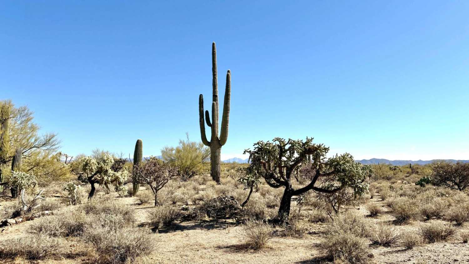 Southwest Goff Ranch Road