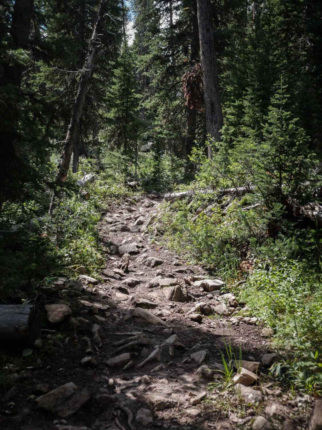 Kirkwood 