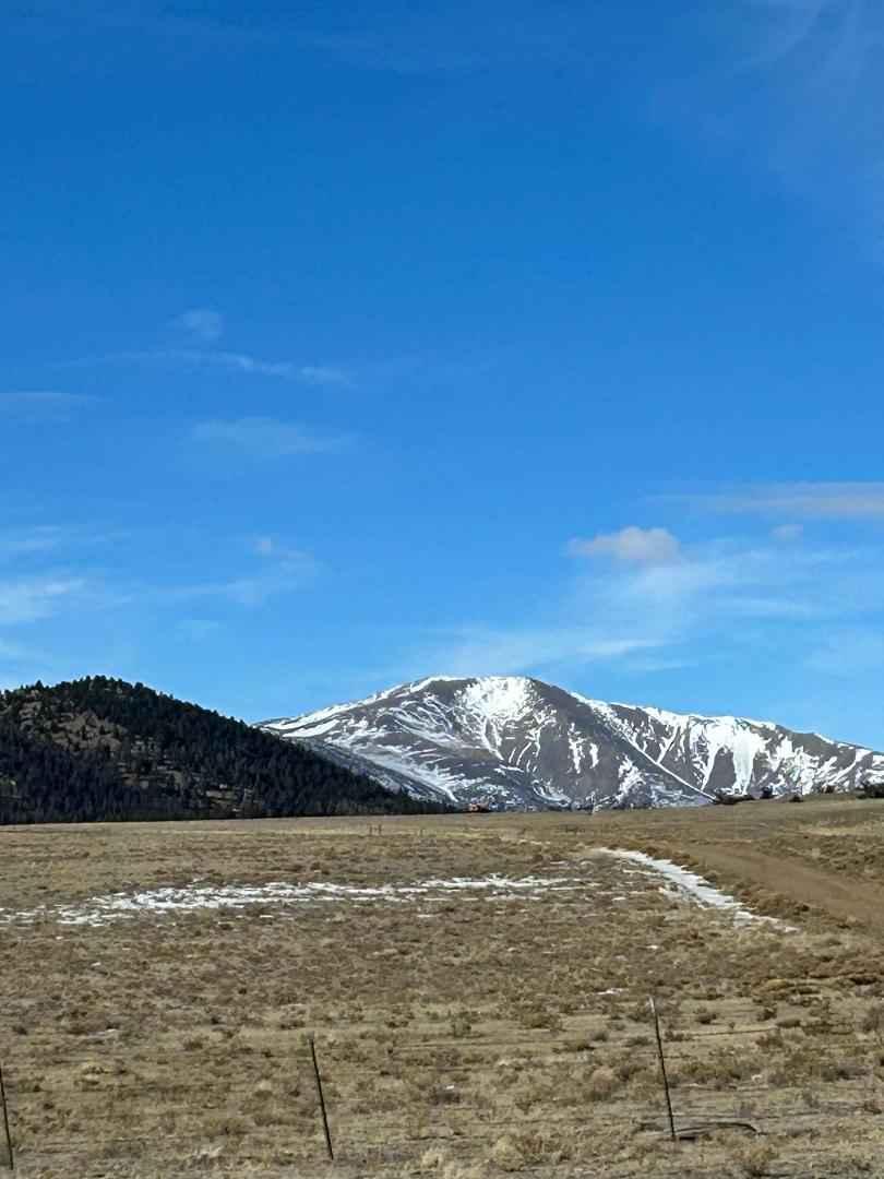 Meadow Drive/ James Mark Jones Wildlife Area