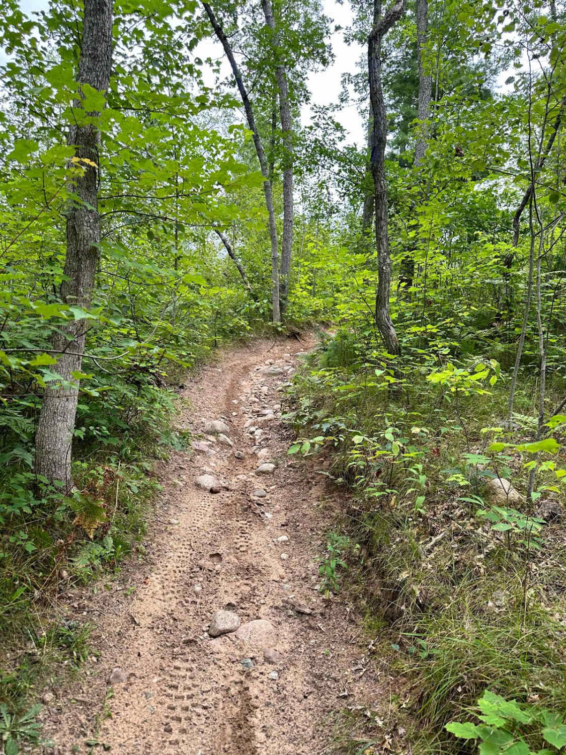 S/E Little Manistee Motorcycle Trail