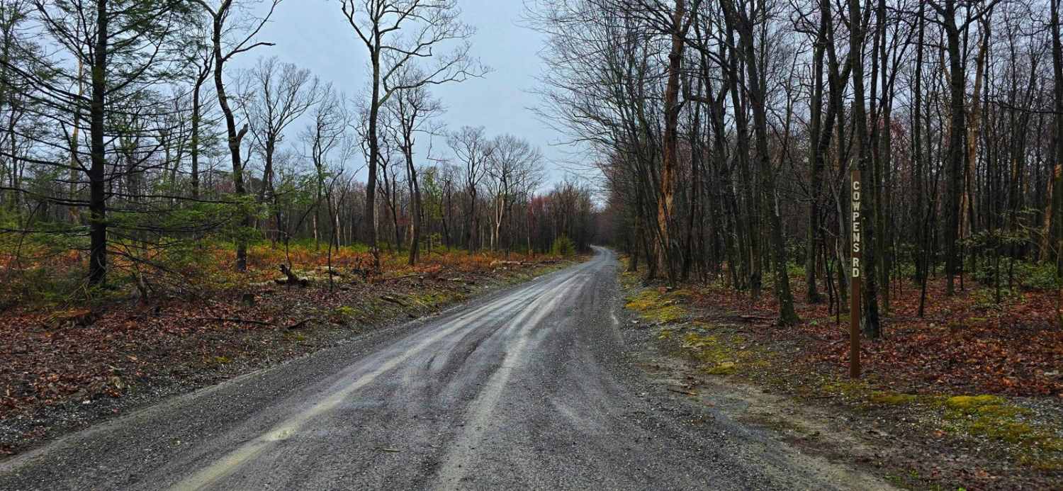 Cowpens Road