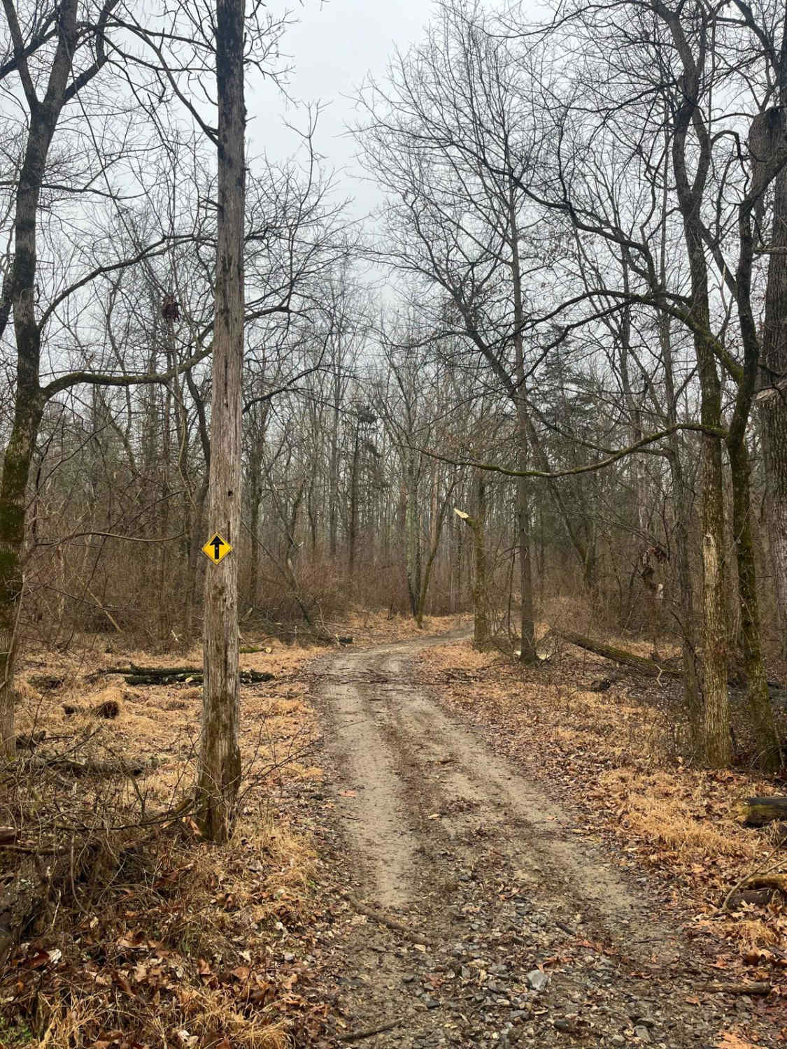 Family Trail