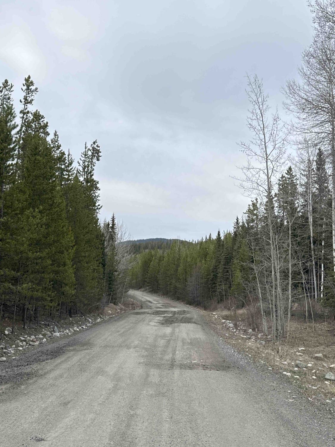 Shrimpton FSR to Buck Lake Recreation Site