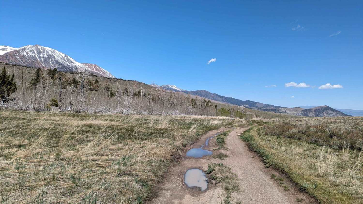 Parker Lake Bench