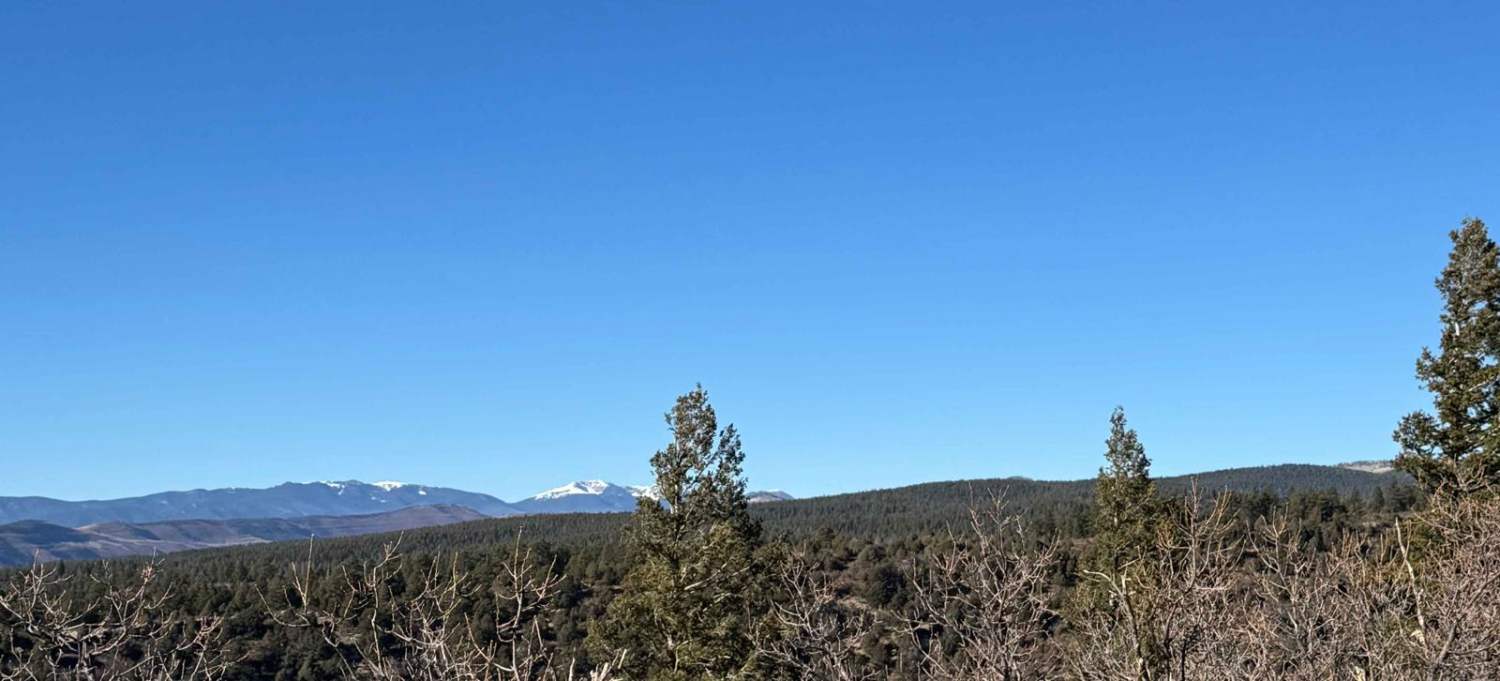 Ruidoso Ridge 