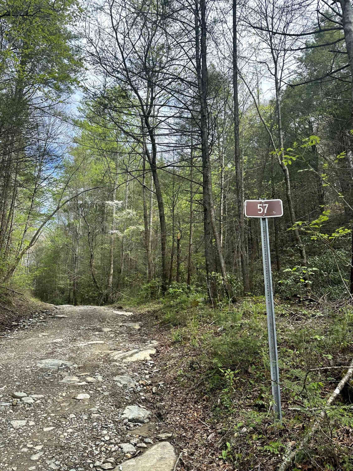 Cane Creek Road - FS 57