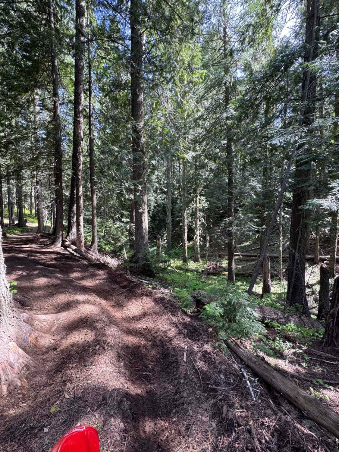 Partridge Creek OHV Trail 8290